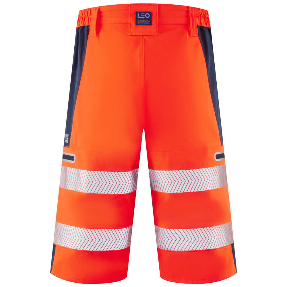 KINGSLEY Leo EcoViz Performance+ Shorts