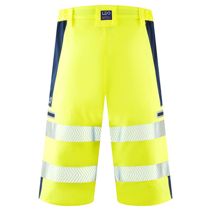 KINGSLEY Leo EcoViz Performance+ Shorts