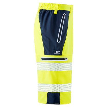 KINGSLEY Leo EcoViz Performance+ Shorts